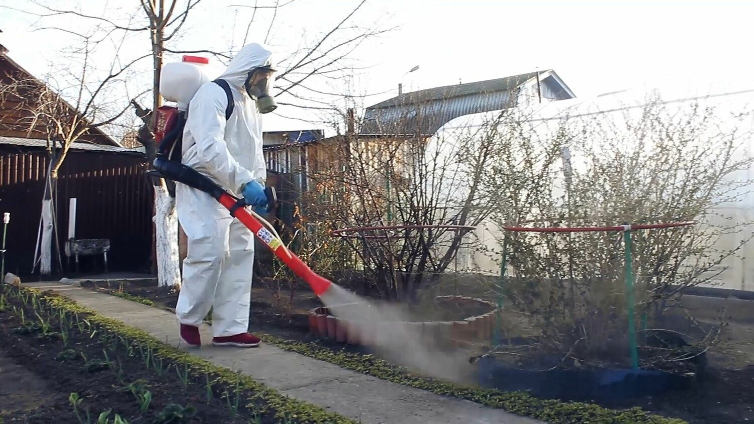 ФОТО Уничтожение муравьёв в рабочем поселке Московской области Бутово