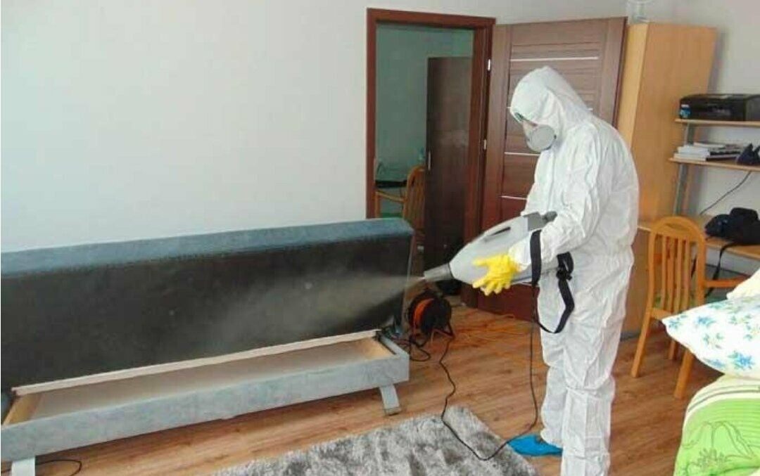 ФОТО Уничтожение блох в рабочем поселке Московской области Бутово