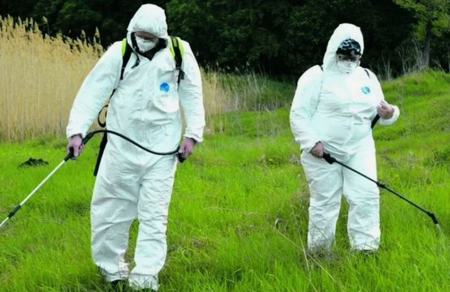 ФОТО Обработка от клещей в рабочем поселке Московской области Бутово