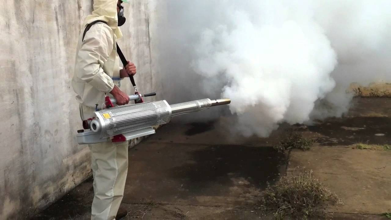 ФОТО Уничтожение мух в рабочем поселке Московской области Бутово