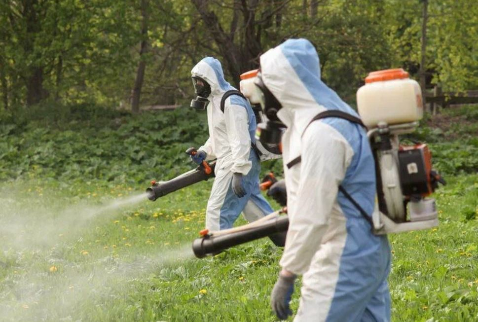 ФОТО Что такое дезинсекция в рабочем поселке Московской области Бутово? | подробно