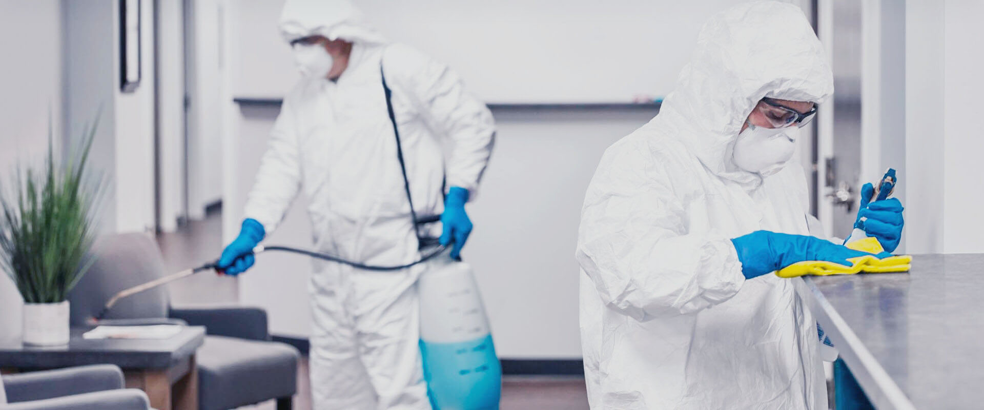 ФОТО В чем разница между дезинфекцией и дезинсекцией в рабочем поселке Московской области Бутово? | подробно