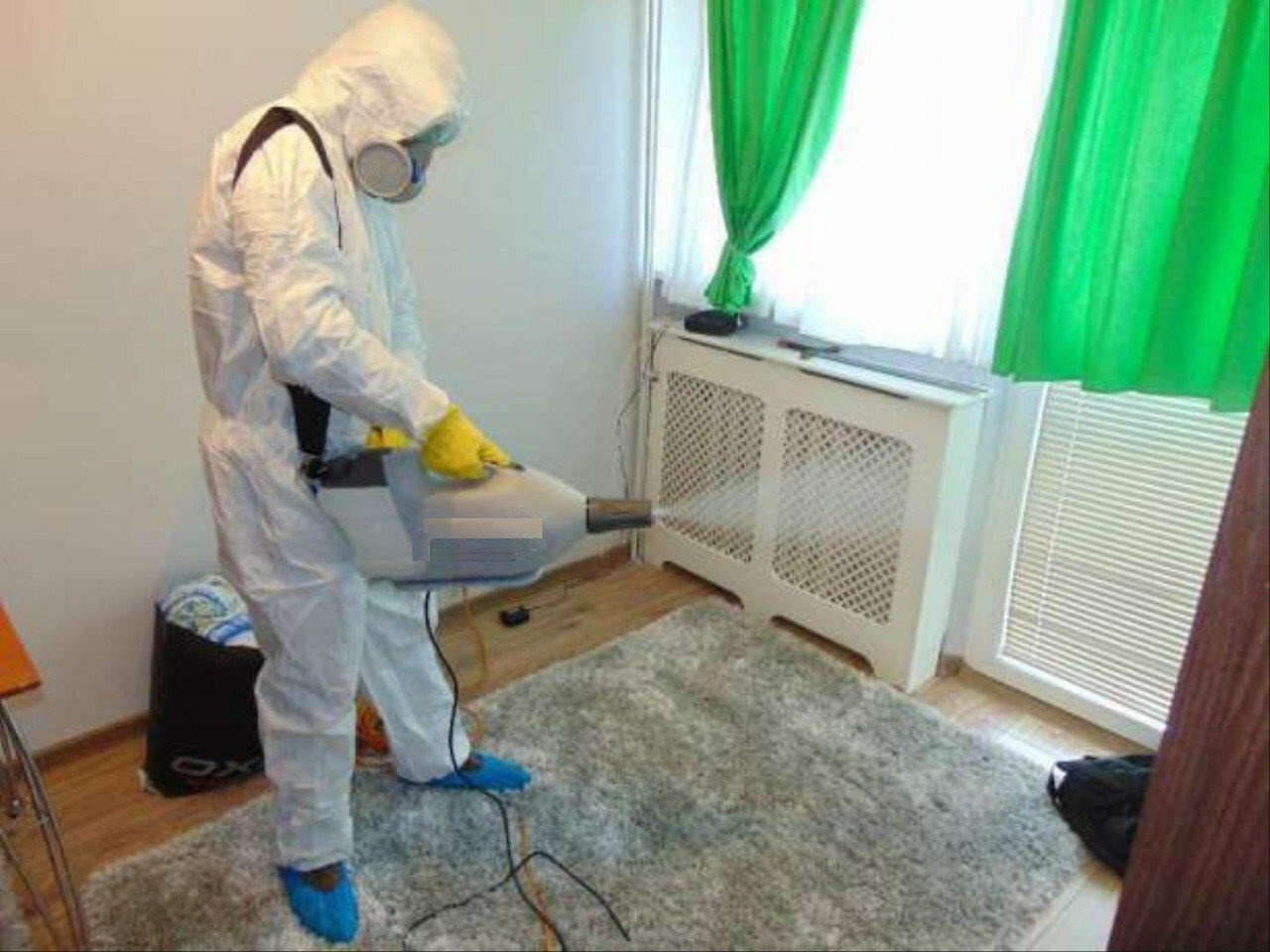 ФОТО Сколько времени занимает обработка при дезинсекции в рабочем поселке Московской области Бутово? | подробно