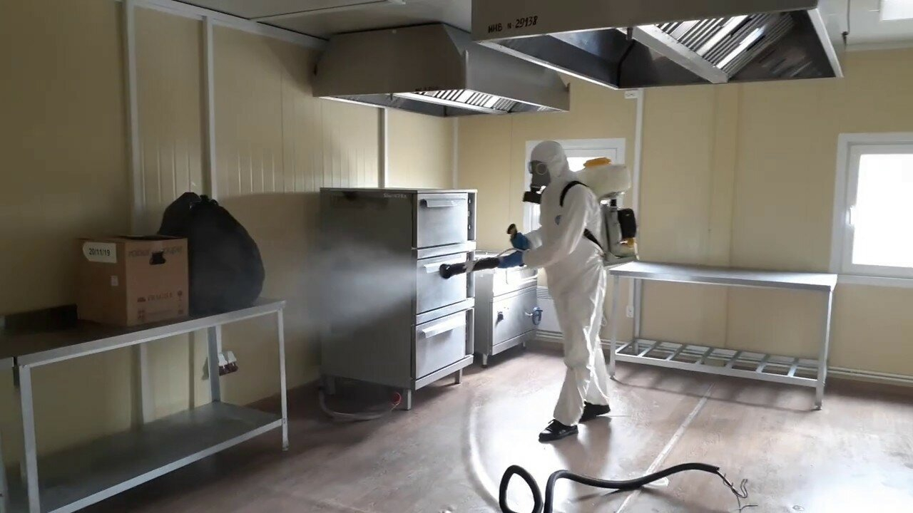 ФОТО Можно ли провести дезинсекцию самостоятельно и какие существуют риски в рабочем поселке Московской области Бутово? | подробно