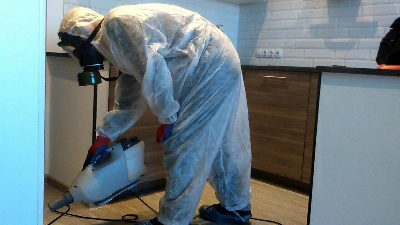 ФОТО Как подготовить домашних животных к обработке от насекомых в рабочем поселке Московской области Бутово? | подробно