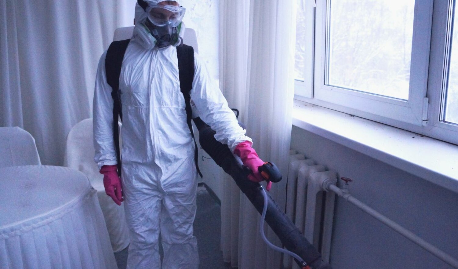 ФОТО Нужно ли выносить растения при дезинсекции в рабочем поселке Московской области Бутово? | подробно