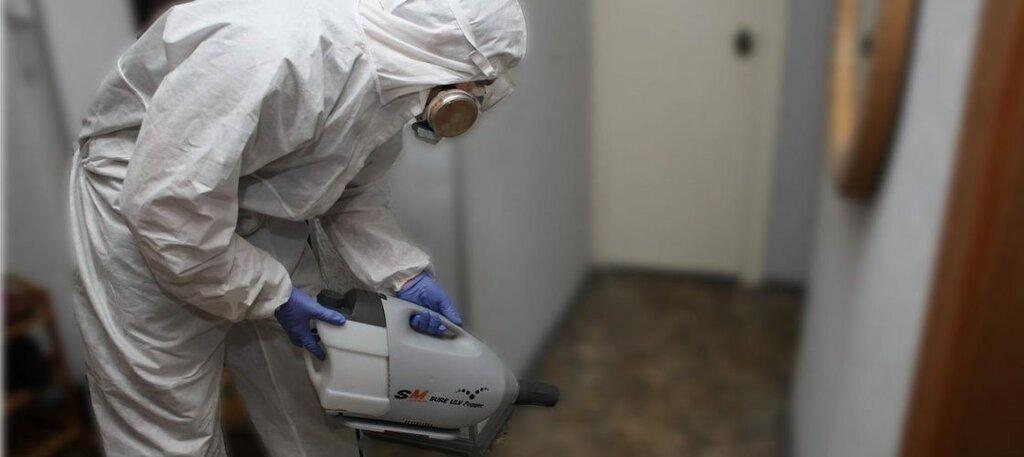 ФОТО Остаются ли следы после обработки квартиры от насекомых в рабочем поселке Московской области Бутово? | подробно