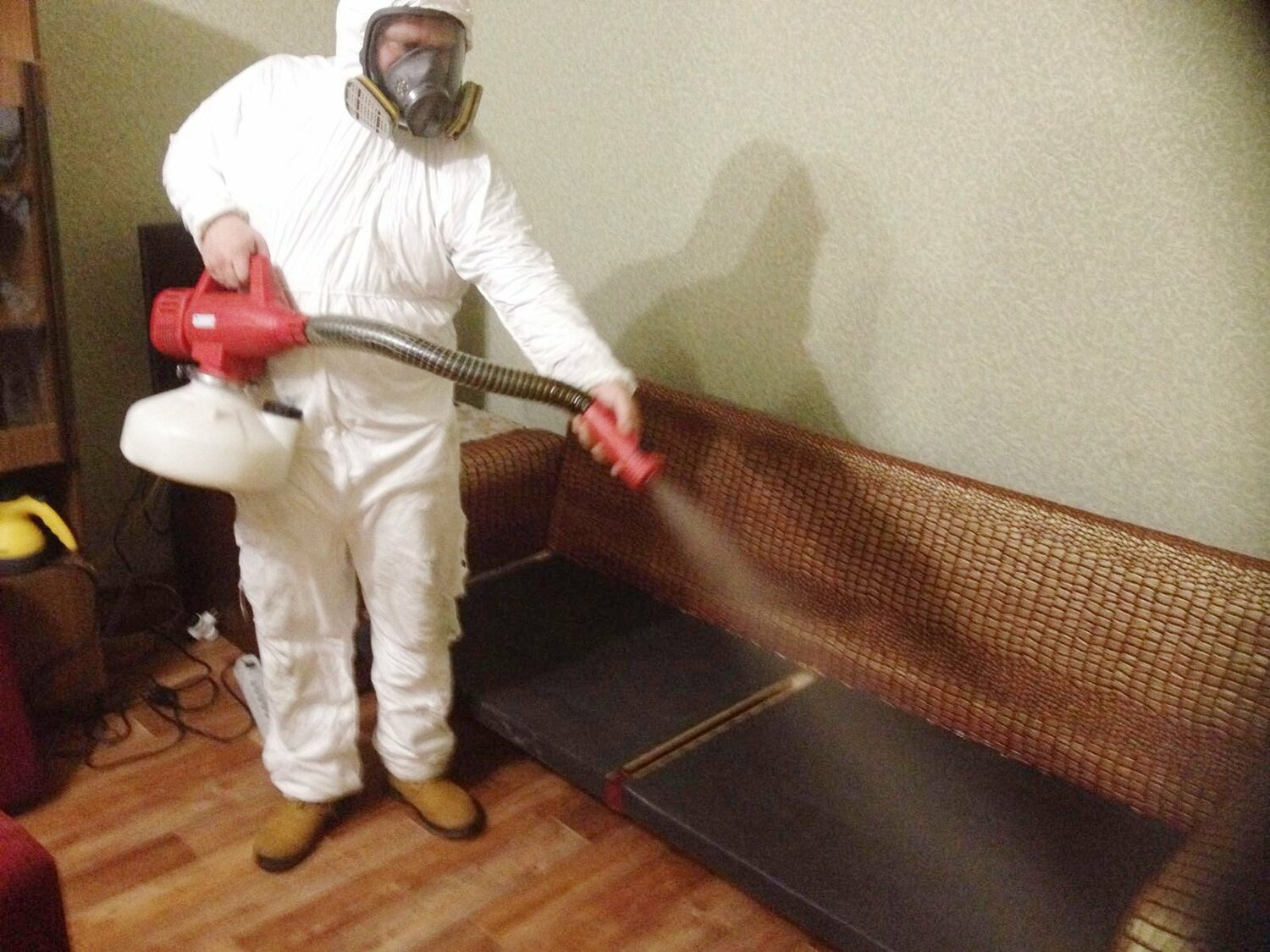 ФОТО Когда можно вернуться в помещение после дезинсекции в рабочем поселке Московской области Бутово? | подробно