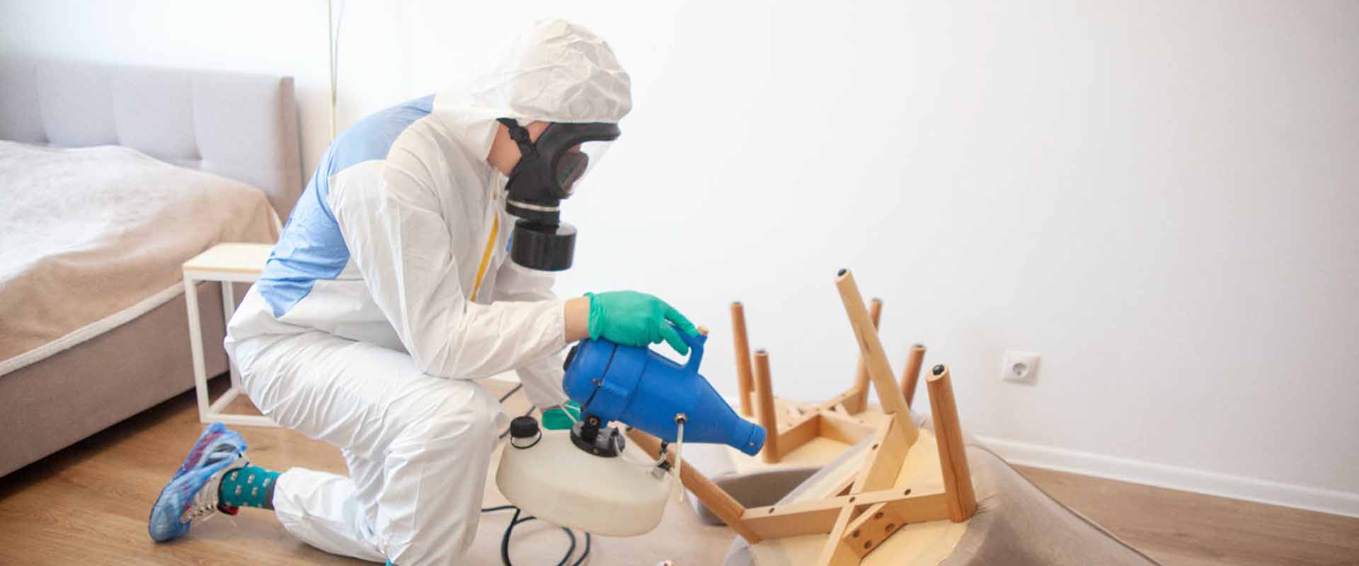 фото: Уничтожение постельных клопов с 1-го раза с гарантией за 30-60 мин. в рабочем поселке Московской области Бутово без предоплаты