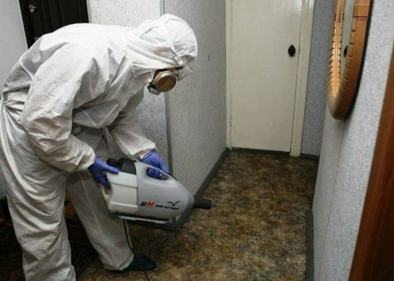 фото: Профессиональная дезинсекция в рабочем поселке Московской области Бутово: <br/>+7-909-173-42-96